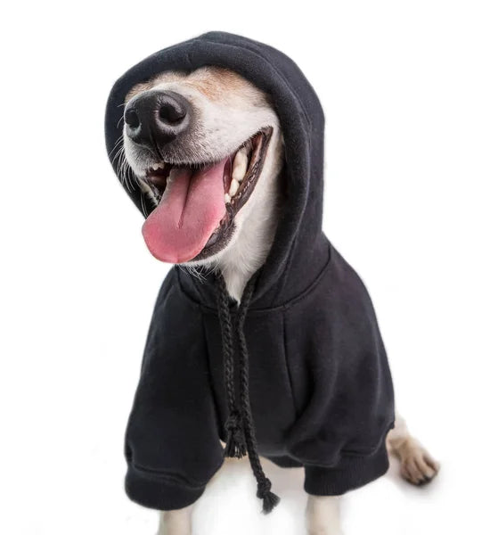 Dog Zip Hoodie