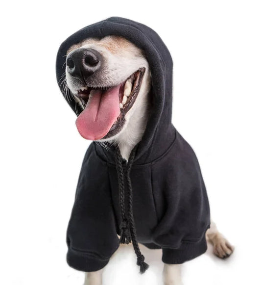 Dog Zip Hoodie